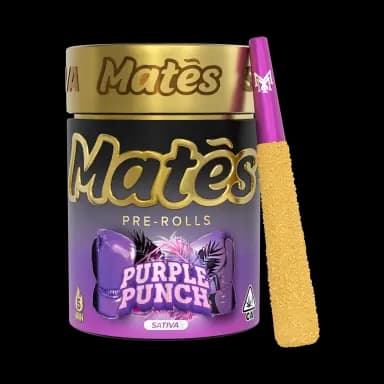 Muha Meds Purple Punch infused pre-roll collection
