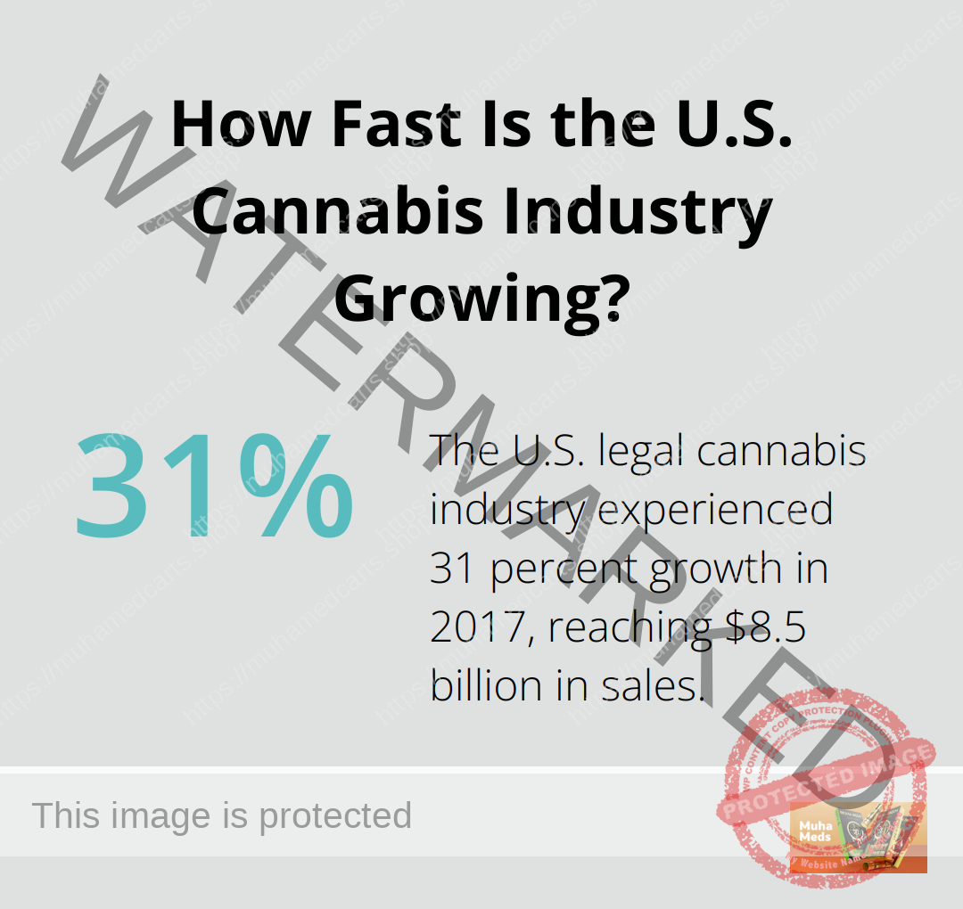 Infographic: How Fast Is the U.S. Cannabis Industry Growing?